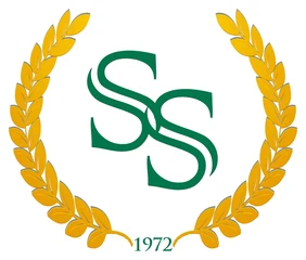 Center for Excellence in Special Education (Stepping Stone) Foundation, Inc.